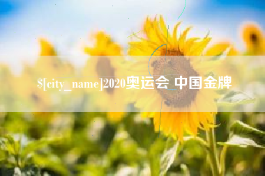 海丰2020奥运会 中国金牌