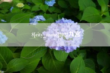 海丰2022九宫
