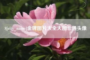 海丰金牌图片大全大图卡通头像