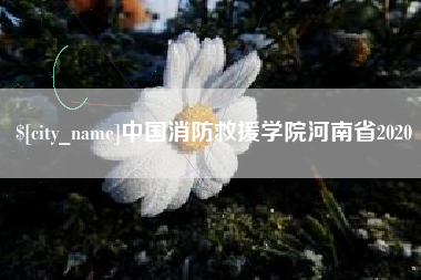 海丰中国消防救援学院河南省2020